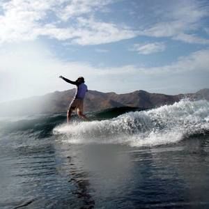 Meet your Posher, Robin